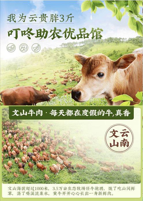 叮咚買菜 電商扶貧新模式，助力富牛農家增收致富